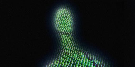 阴谋集团的创建 - 爬虫族与人类显化 无视频