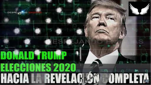 特朗普与2020年大选 无视频