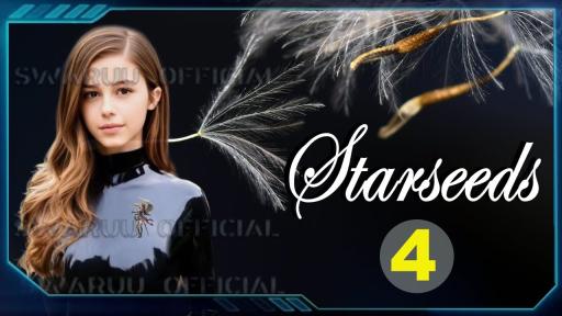 星际种子及其问题，第四部分，金钱议题。