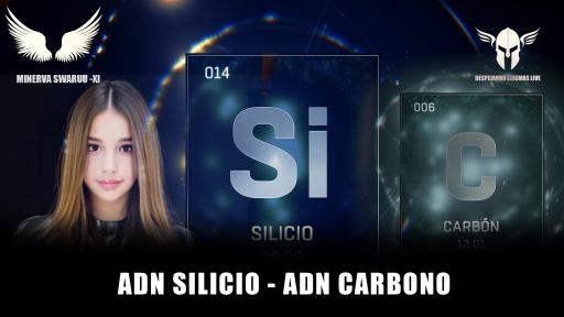 ADN 硅基 - ADN 碳基 - 扬升 - 密涅瓦 斯瓦鲁